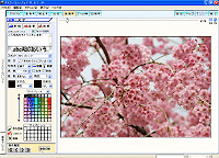 ���͂̓���