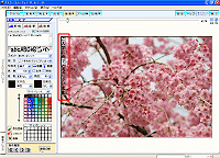 �c�����̕����̐ݒ�̊���