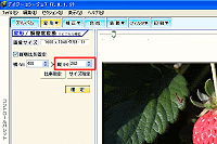 摜́ucṽTCY̐ݒ