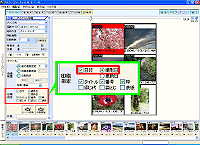 �u����w��v�́u���t�v����u�B�e���v���w�肷��