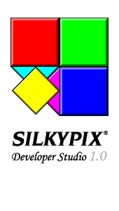 Developer Studio 1.0のFAQ