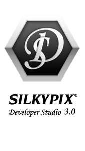 Developer Studio 3.0のFAQ