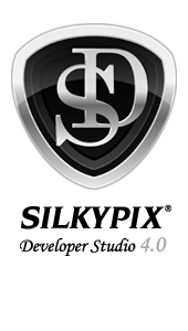 Developer Studio 4.0のFAQ