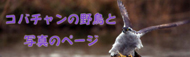 コバチャンのＢＬＯＧ