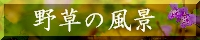 野草の風景