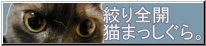 絞り全開猫まっしぐら。