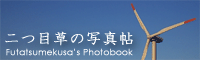 二つ目草の写真帖